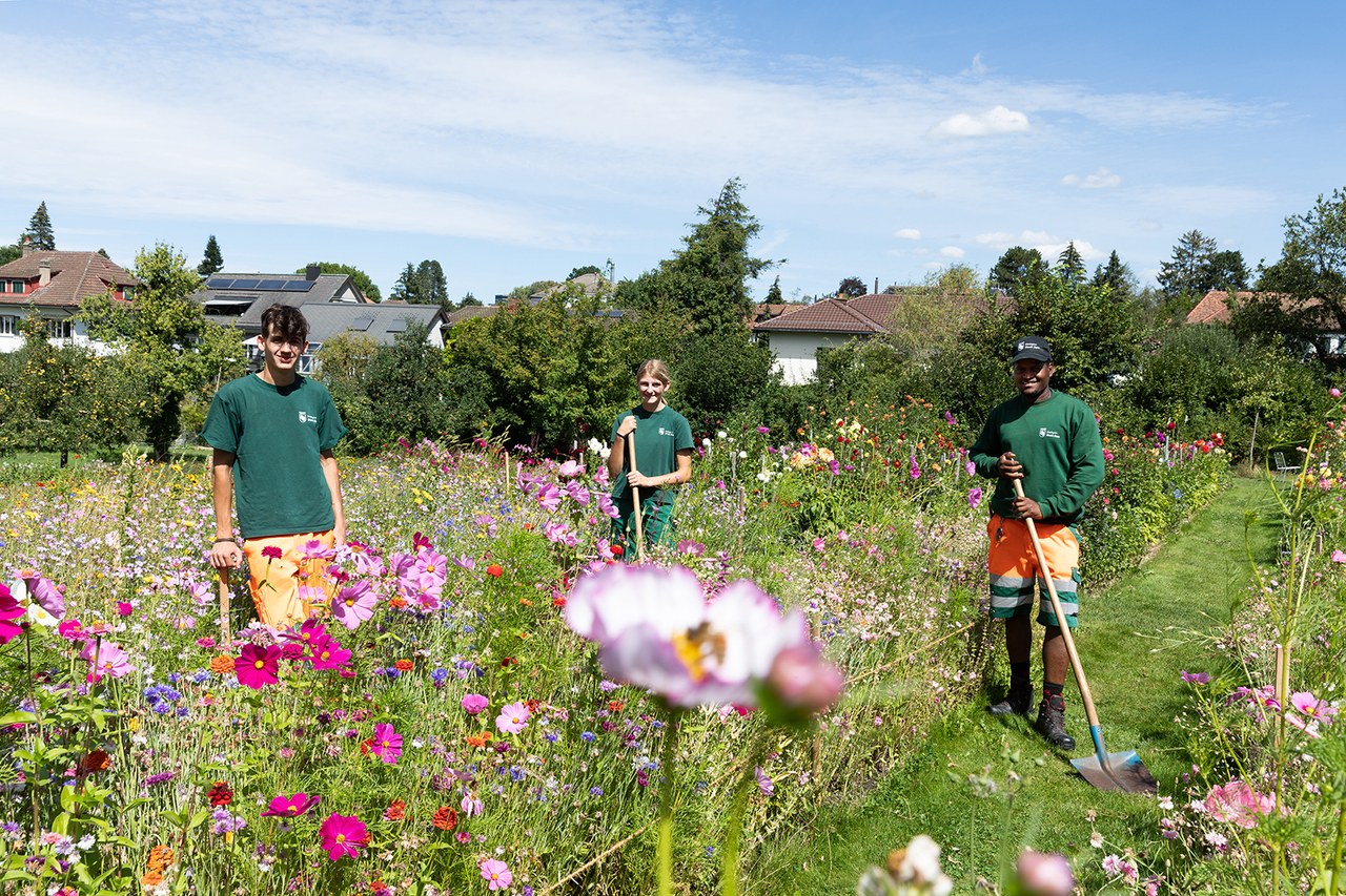 Lernende Gärtner und Gärtnerin beim Arbeiten im Blumenbeet