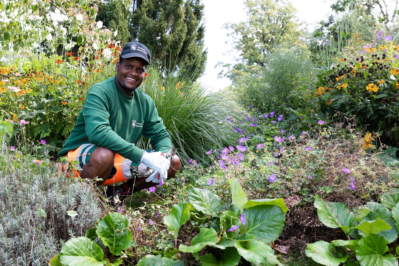 Lernender Gärtner im Blumenbeet