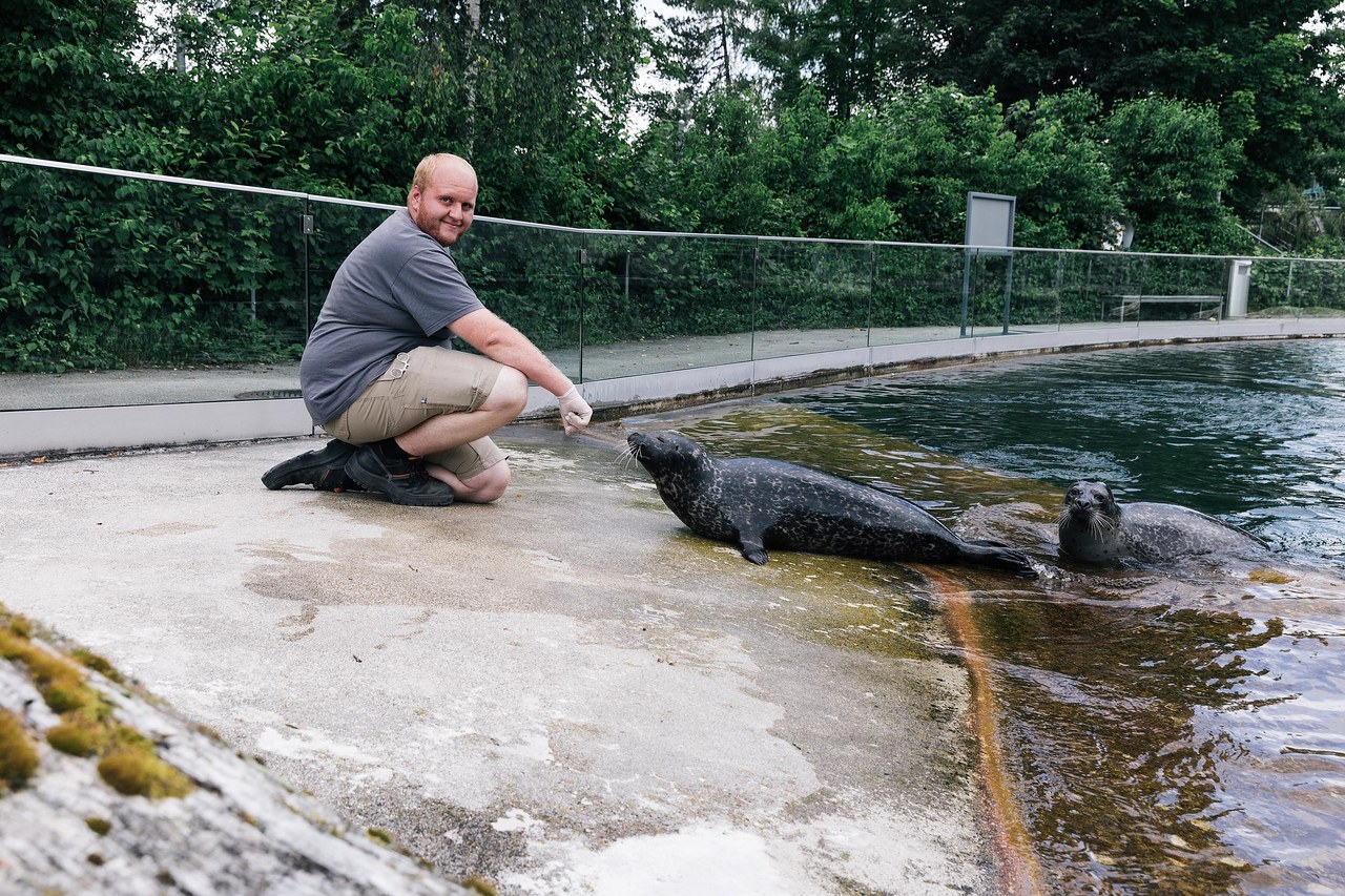 Ansicht Bärenpark