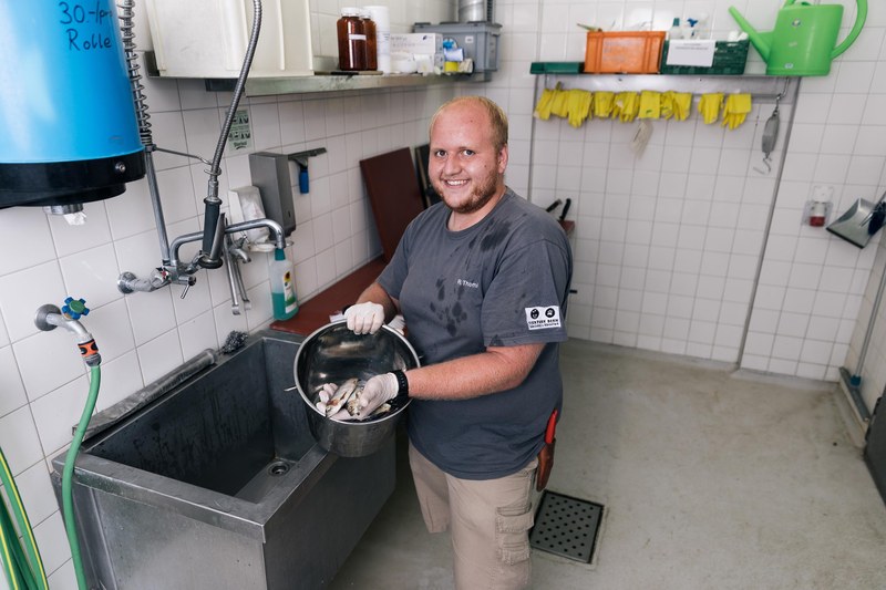 Detailansicht Lernender Tierpfleger bei der Futterzubereitung