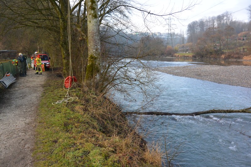 Feuerwehrmänner bereiten sich vor, die Esche zu zersägen.