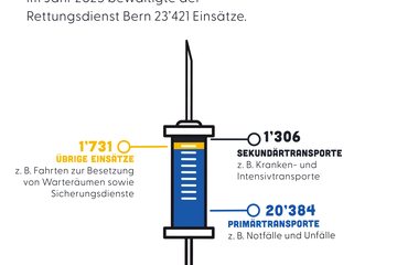 Statistik Rettungsdienst 2025. Vergrösserte Ansicht