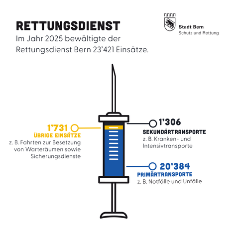 Statistik Rettungsdienst 2025