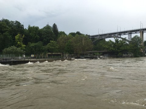 Die Aare führt viel Wasser. Hier mit Sicht auf das Schwellenmätteli