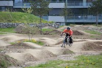 Bild 1 Pumptrack Weissensteinpark