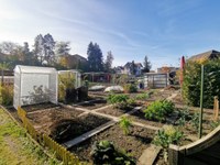 Bild des Familiengartens