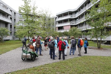 Stoeckacker_Sued_P_Studer_kl. Vergrösserte Ansicht