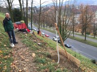 Baumpflanzung 2, Infodienst