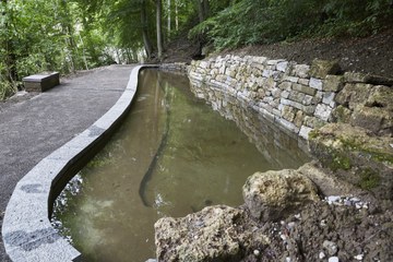 Waldteich nach der Sanierung. Vergrösserte Ansicht