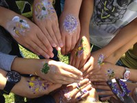 Wildwechsel   Grünes Klassenzimmer