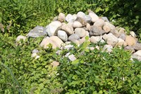 Steine (Bild   Stadtgrün Bern)