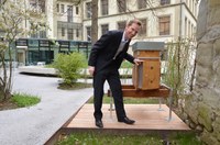 Bild 3: Bundegasse 33 Gemeinderat Alexandre Schmidt beim Bienenstock im Innenhof Querformat