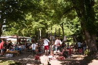 Kinderkonzert beim Naturmarkt (Pascale Amez) 