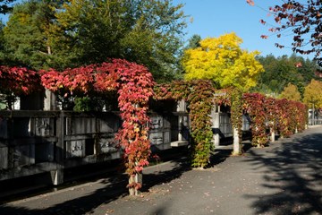 Urnengräber auf dem Friedhof Bümpliz.. Vergrösserte Ansicht