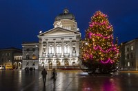 Weihnachtsbaum Bundesplatz 2014 Bernexpo