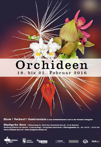 Plakat Orchideenausstellung