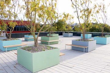 VS Baumgarten Dachterrasse. Vergrösserte Ansicht