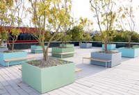 VS Baumgarten Dachterrasse