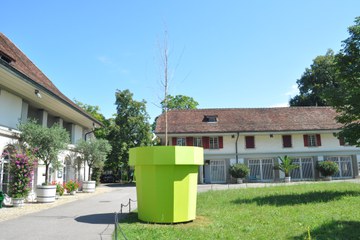 Baumausstellung Topf. Vergrösserte Ansicht