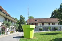 Baumausstellung Topf