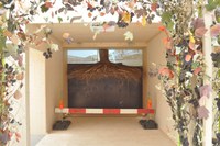 Baumausstellung Wurzelstock