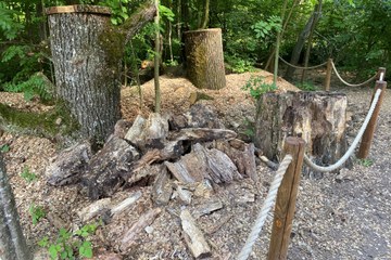 Käfer Treff. Foto: Tierpark Bern.. Vergrösserte Ansicht