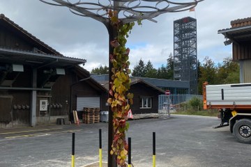 Stadtpergola (Tefbauamt Stadt Bern). Vergrösserte Ansicht