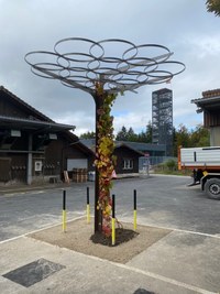 Stadtpergola (Tefbauamt Stadt Bern)