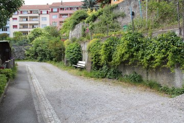 Bild 3 Unversiegelter Weg begrünte Mauern (Sabine Tschäppeler). Vergrösserte Ansicht