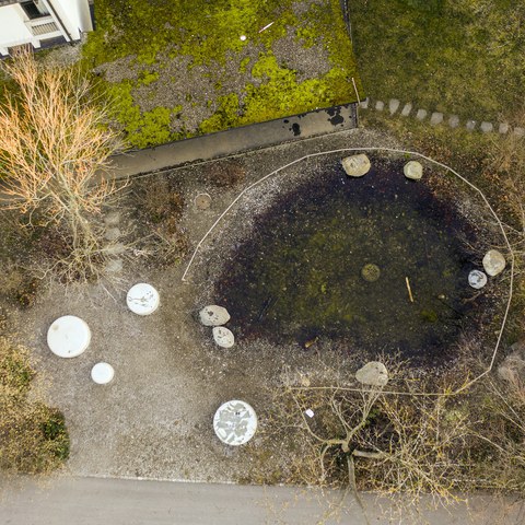 Volkssschule Steigerhubel Teich Bild Joel Schweizer