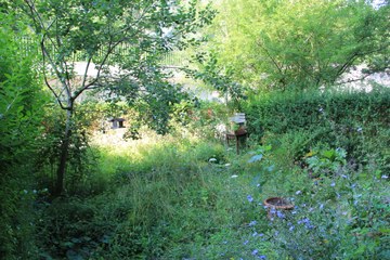 BiodiversitätsGarten Bild 2. Vergrösserte Ansicht