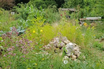 BiodiversitätsGarten Bild 4. Vergrösserte Ansicht