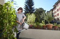 Pflanzen giessen Bild Ephraim Bieri