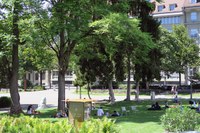 Offener Bücherschrank Kleine Schanze