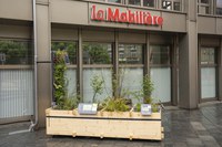 Bild Pocket Schwammstadt_Mobiliar