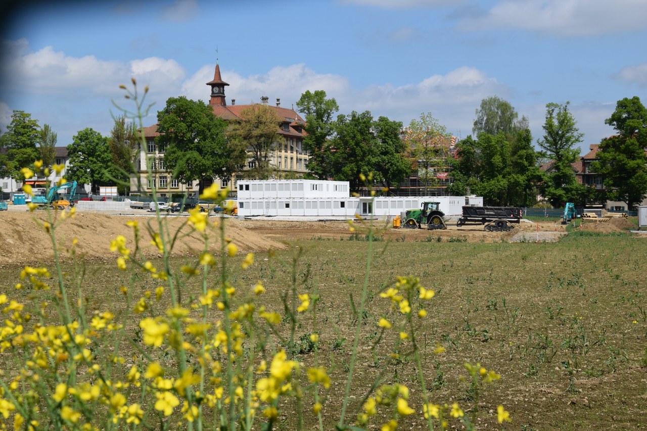 Bild Bauarbeiten Siedlung Viererfeld Mai 2022.