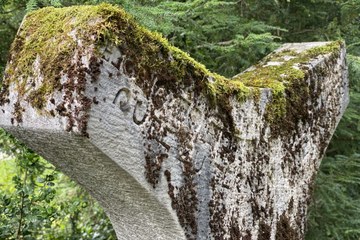 Bremgartenfriedhof Otto Nebel. Vergrösserte Ansicht