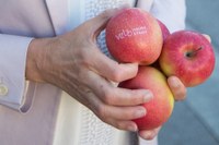 Äpfel mit Logo (Bild: Marco Zanoni)