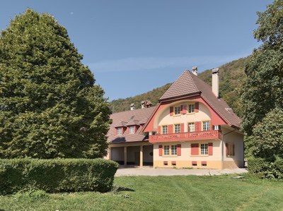 IMG 8410 115 1181161