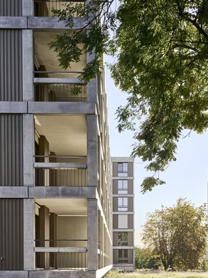 © Rolf Siegenthaler Fotografie