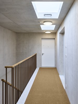 © Rolf Siegenthaler Fotografie