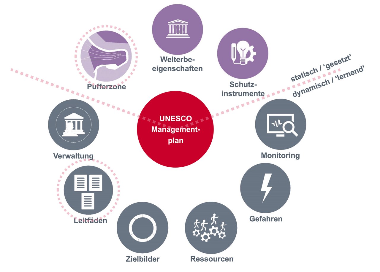 Grafik mit Inhalten des Managementplans