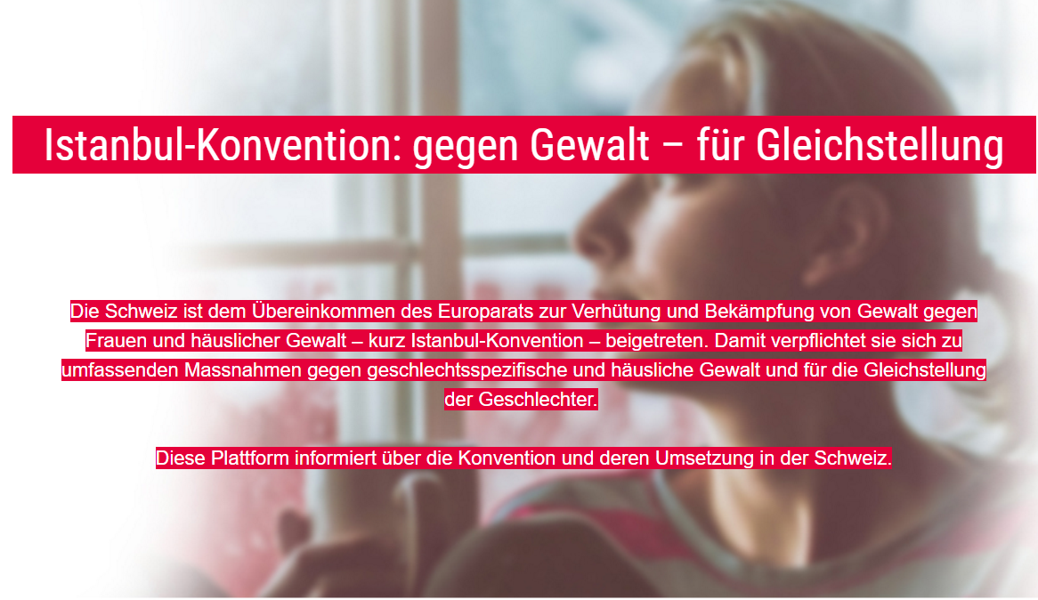 Titelbild der Webseite istanbulkonferenz.ch