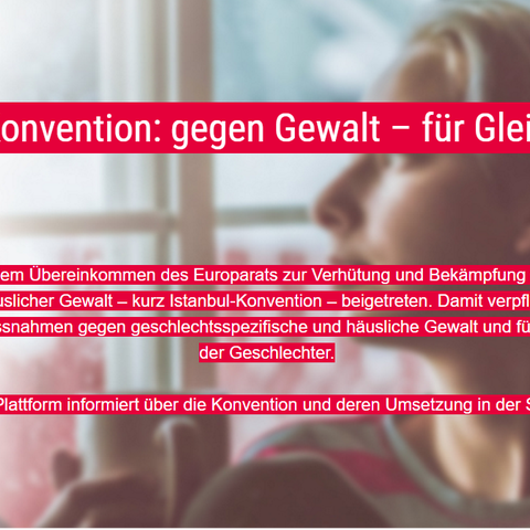 Text zu Istanbul Konvention