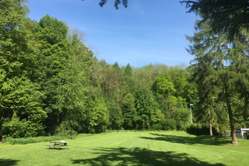 Wiese. Vergrösserte Ansicht
