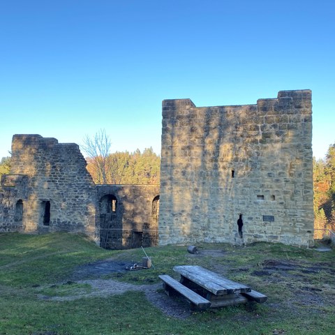 Bauende Ruine Grasburg