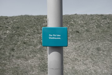 Der Ruf des Waldkauzes NISCHEN Tine Melzer. Vergrösserte Ansicht