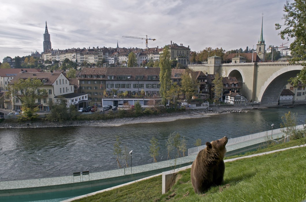 BärenPark — Stadt Bern