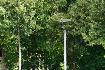 Bachmätteli. Vergrösserte Ansicht