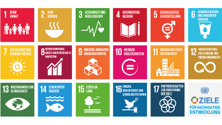 die 17 icons der Sustainable Development Goals